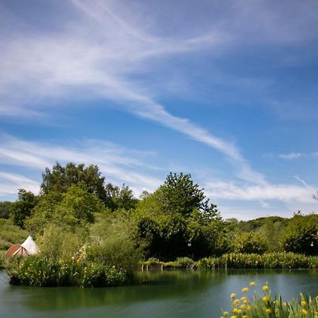切斯特 Lloyds Meadow Glamping酒店 外观 照片